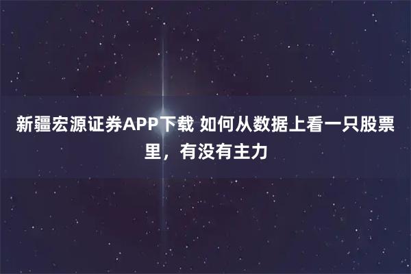 新疆宏源证券APP下载 如何从数据上看一只股票里,有没有主力