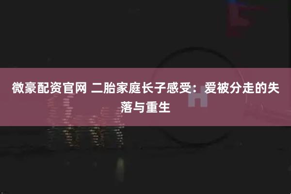 微豪配资官网 二胎家庭长子感受：爱被分走的失落与重生